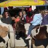 20071114_035721_dscn9602