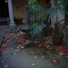 20071126_143904_p1000365