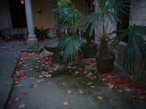20071126_143904_p1000365