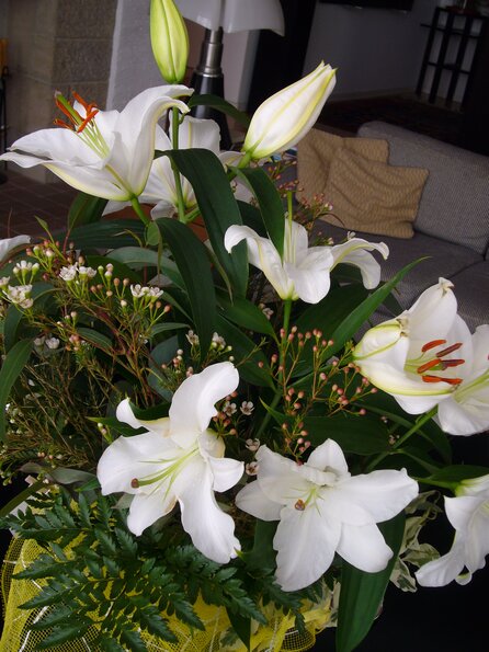 20071128_150921_p1000391