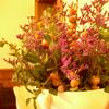 20071130_145605_dscn3964