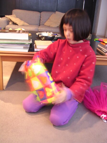 20080105_224801_dscn9706