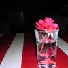 20080109_061539_dscn9710