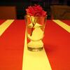 20080109_061631_dscn9711