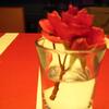 20080109_061706_dscn9712
