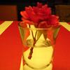 20080109_061800_dscn9713