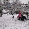 20080111_234404_dscn9716