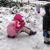 20080112_001102_dscn9720