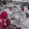 20080112_001116_dscn9721