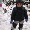 20080112_001123_dscn9722
