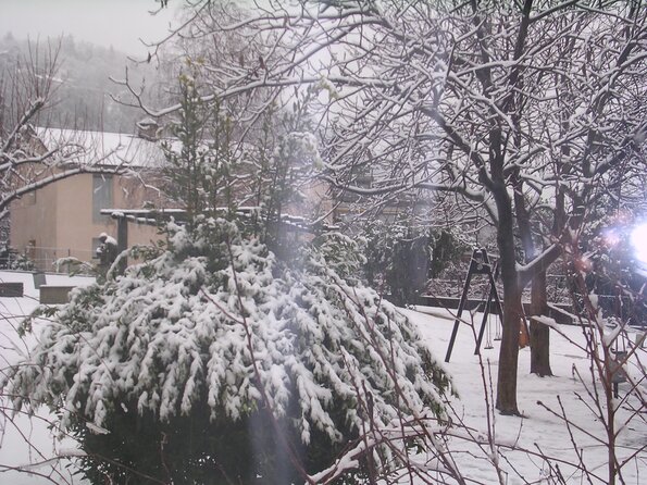 20080112_023735_dscn9728
