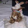 20080112_051945_dscn9730