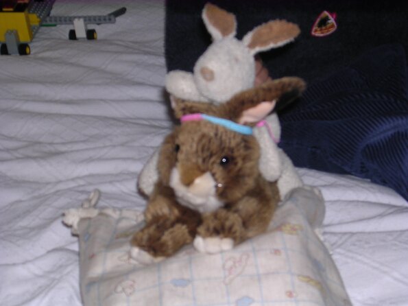 20080112_051945_dscn9730