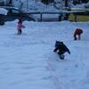 20080113_162410_P1000034
