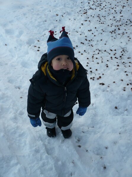 20080113_162459_P1000036
