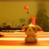 20080114_074729_dscn9748