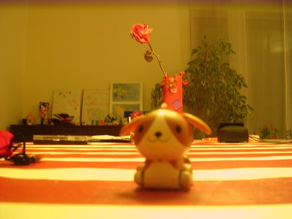 20080114_074729_dscn9748