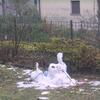 20080115_014308_dscn9751