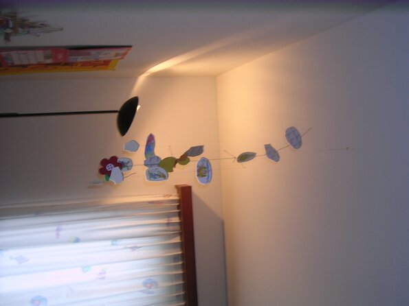 20080115_014529_dscn9753