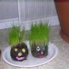 20080115_023104_dscn9754