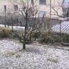 20080116_025550_dscn9757