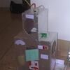 20080125_081141_dscn9834