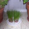 20080125_081205_dscn9835
