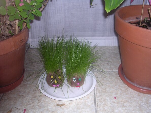 20080125_081205_dscn9835