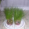 20080125_081214_dscn9836