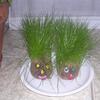 20080125_081221_dscn9837
