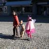 20080202_140734_p1000109