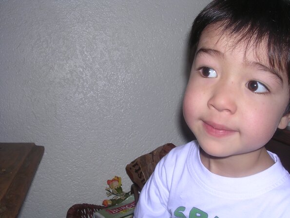 20080207_215424_dscn9900