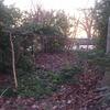 20080209_065328_dscn9924