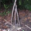 20080209_065401_dscn9925