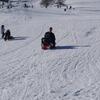 20080210_142358_p1000129