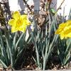 20080219_150659_p1000143