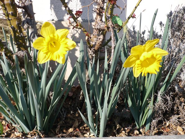 20080219_150659_p1000143