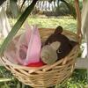 20080220_051411_dscn9929