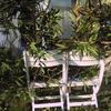 20080220_051449_dscn9931