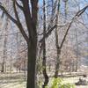 20080302_115824_P1000165