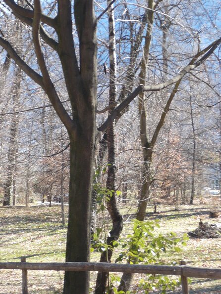 20080302_115824_P1000165