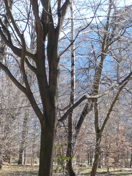 20080302_115836_P1000166