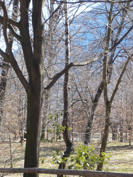 20080302_115927_P1000168