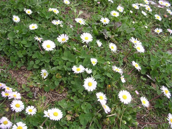20080312_044349_dscn9953