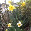 20080312_044404_dscn9954