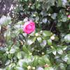 20080312_044458_dscn9957