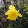 20080312_044635_dscn9963