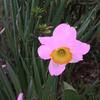 20080312_044647_dscn9964