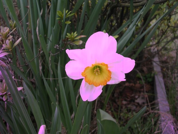 20080312_044647_dscn9964