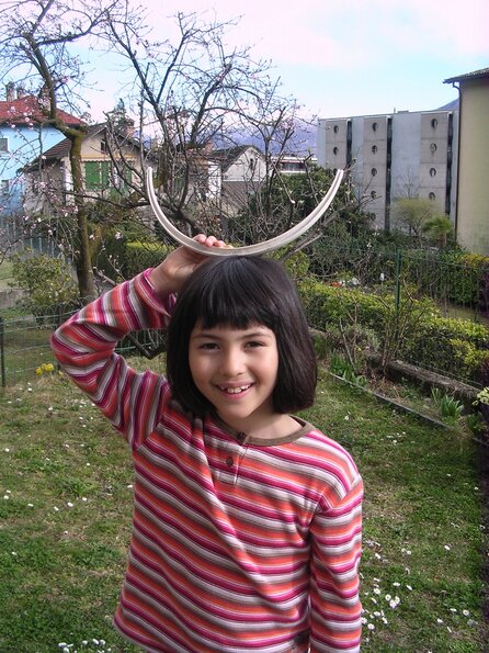 20080312_044926_dscn9972